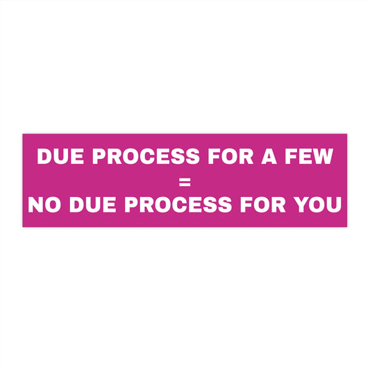 Pink Due Process Constitution Bumper Stickers